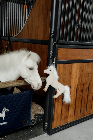 Kentucky Sammy The Pony Stall Toy