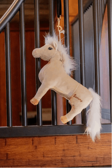 Kentucky Sammy The Pony Stall Toy