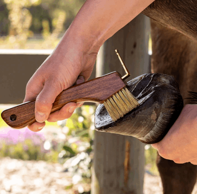 Hairy Pony Copper Bristle Wooden Hoof Pick