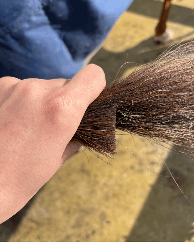 Hairy Pony Horse Tail Trimming Scissors