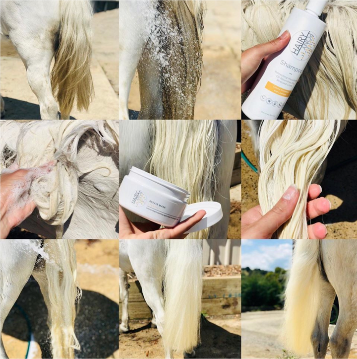 Hairy Pony Hair Repair Treatment