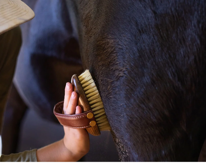 Hairy Pony Mud Brush