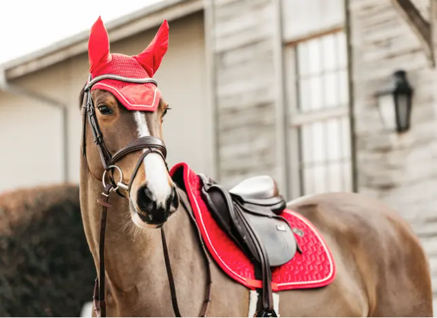 Kentucky Velvet Saddle Pad Jumping#color_red-crimson