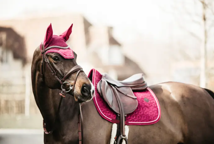 Kentucky Velvet Saddle Pad Jumping#color_fushia