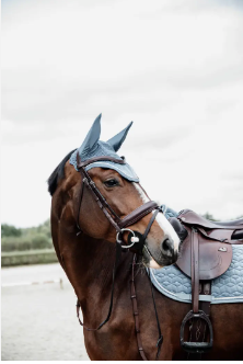 Kentucky Velvet Saddle Pad Jumping#color_light-blue