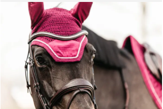 Fly Veil Bonnet Wellington Velvet Collection#color_fuschia