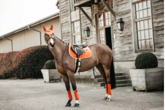 Fly Veil Bonnet Wellington Velvet Collection#color_orange