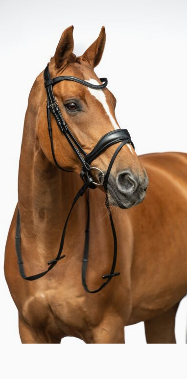 HKM Ira Fully Removable Tab Flash Monocrown Bridle