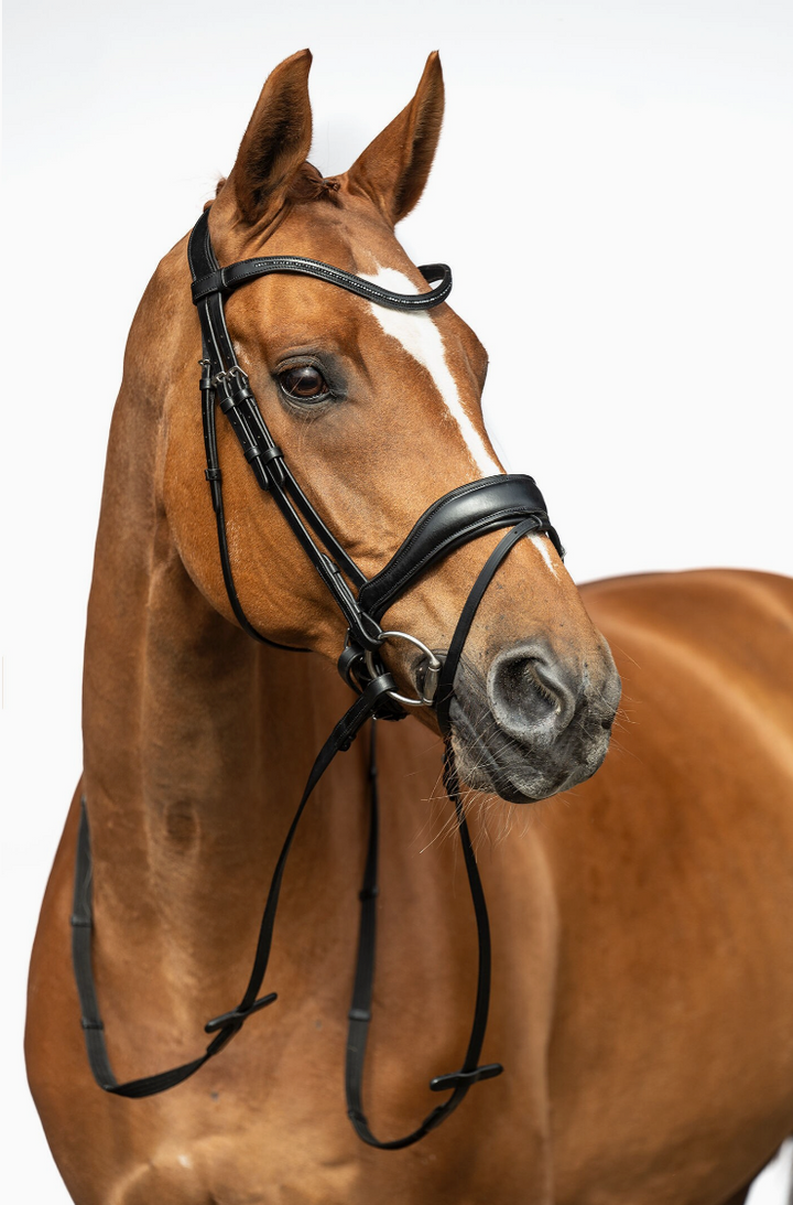 HKM Ira Bridle#color_black