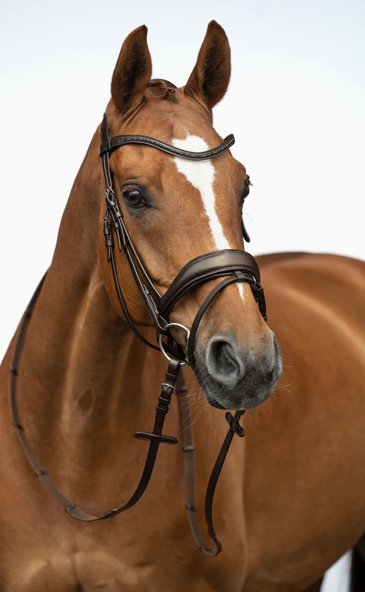 HKM Ira Bridle#color_havana-brown