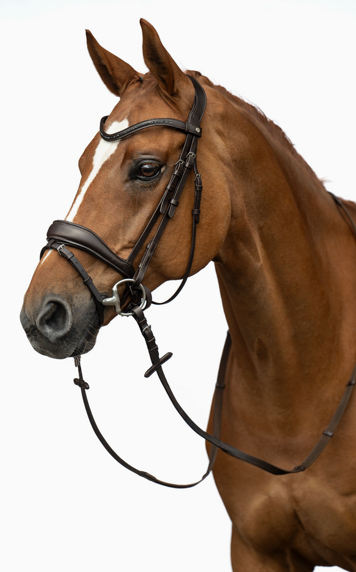 HKM Ira Bridle#color_havana-brown