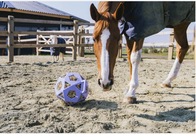 Kentucky Relax Horse Play Hay Ball