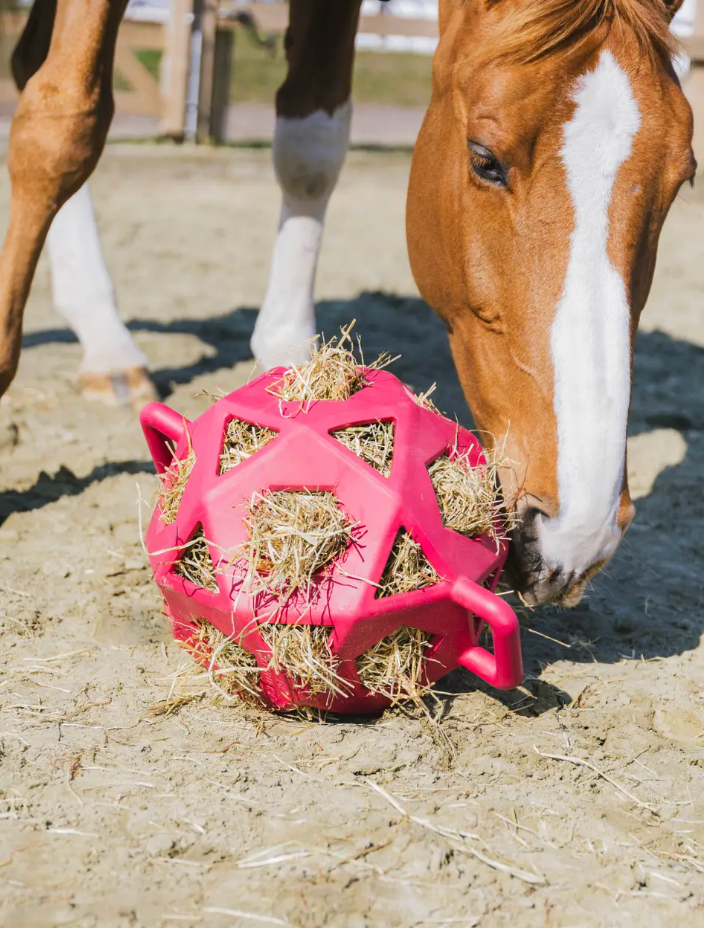 Kentucky Relax Horse Play Hay Ball