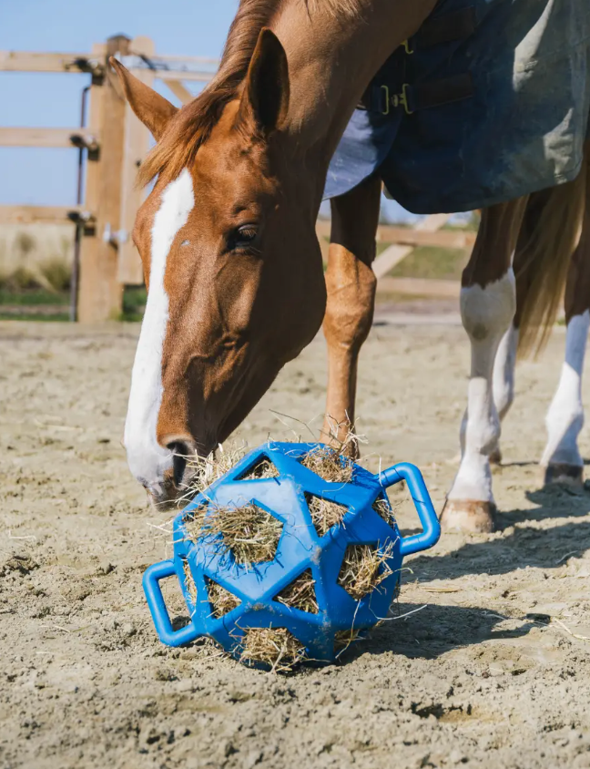 Kentucky Relax Horse Play Hay Ball