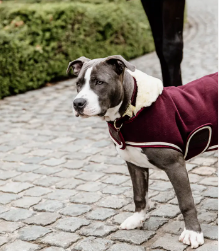 Kentucky Dogwear Fleece Collar Coat