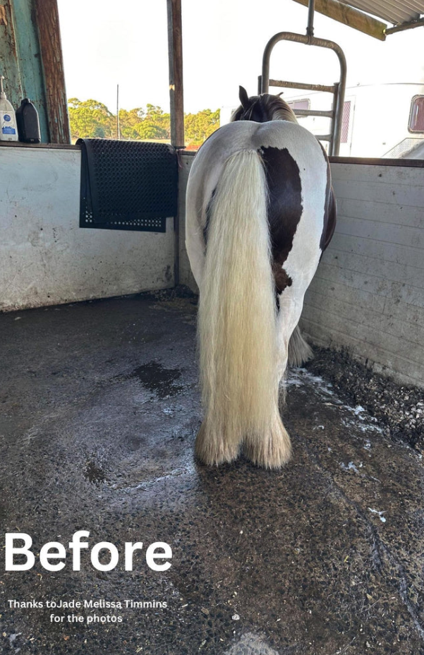 Hairy Pony Purple Hair Repair Treatment