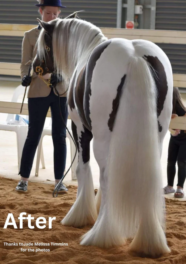 Hairy Pony Purple Hair Repair Treatment