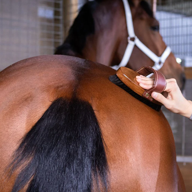 Hairy Pony Essential Oil Coat Conditioner