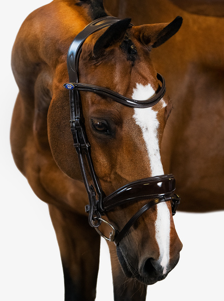 PS of Sweden Flying Change DELUXE  Dressage Bridle