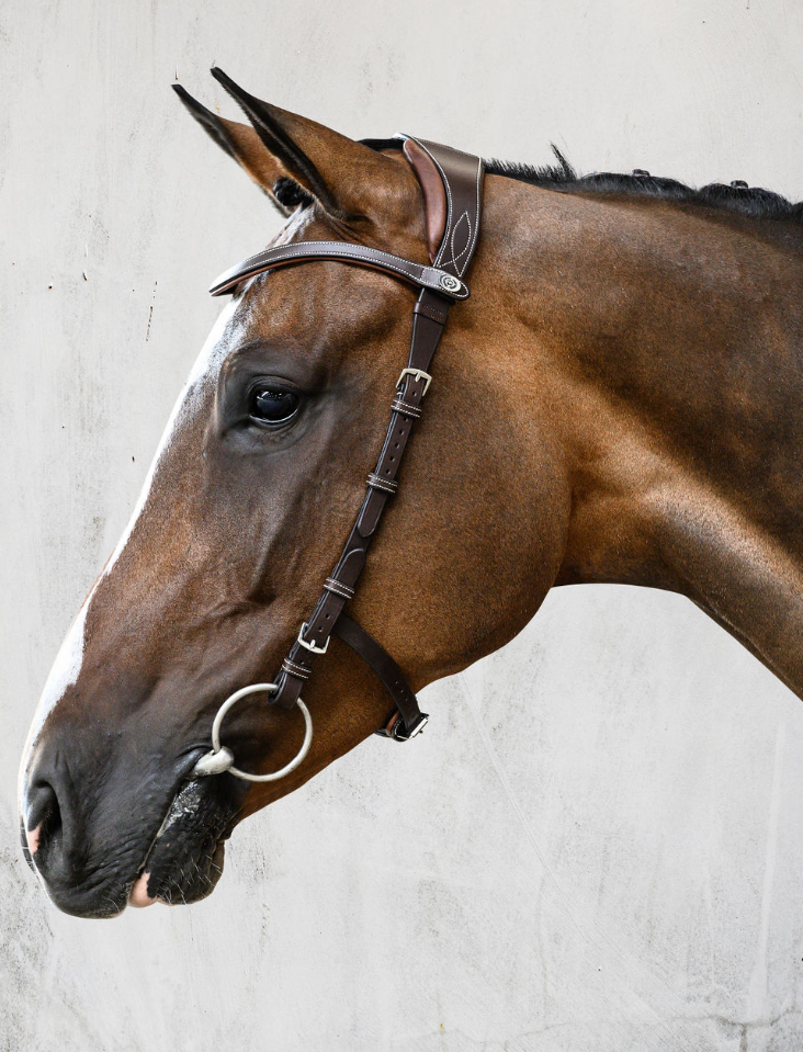 PS of Sweden Helsinki Bridle