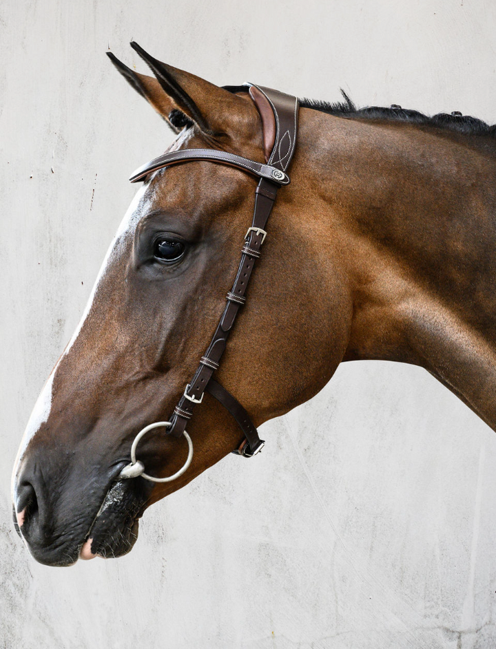 PS of Sweden Helsinki Bridle