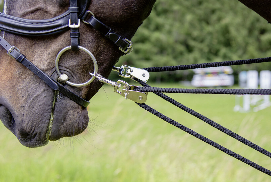 HKM Lunging System Training Aid