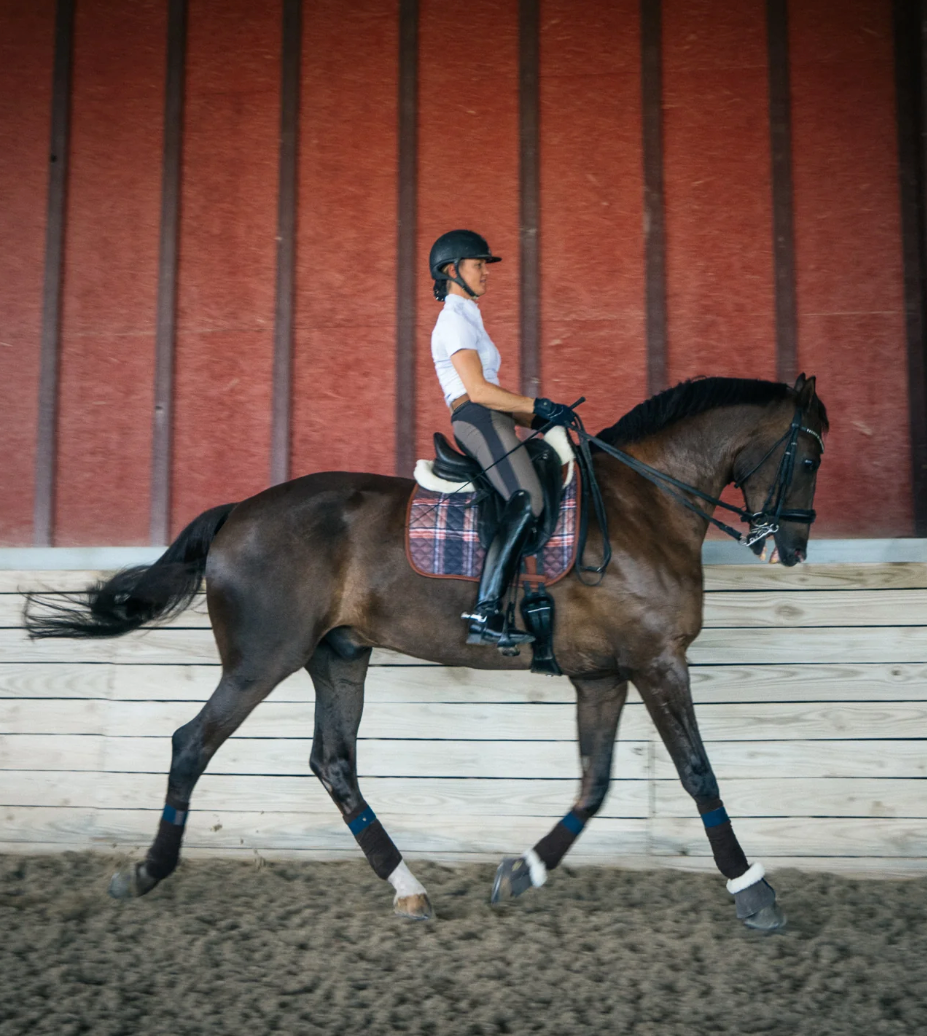 Field Plaid & Hickory Saddle Pad