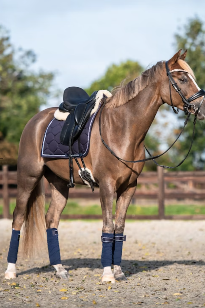 Signature Saddle Pad  - Navy Blue