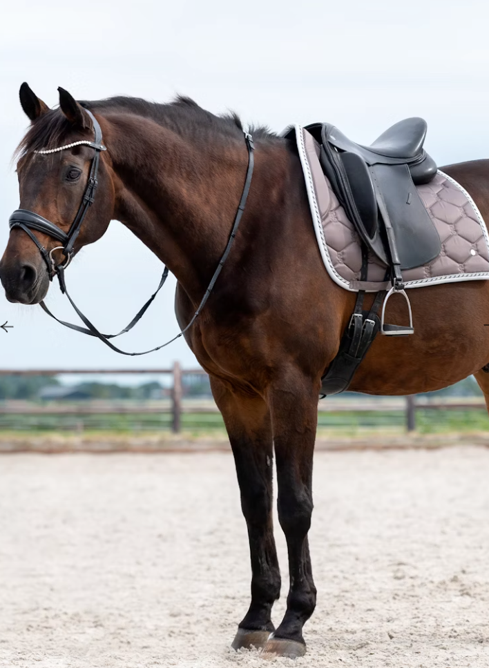 Signature Dressage Saddle Pad  - Warm Grey