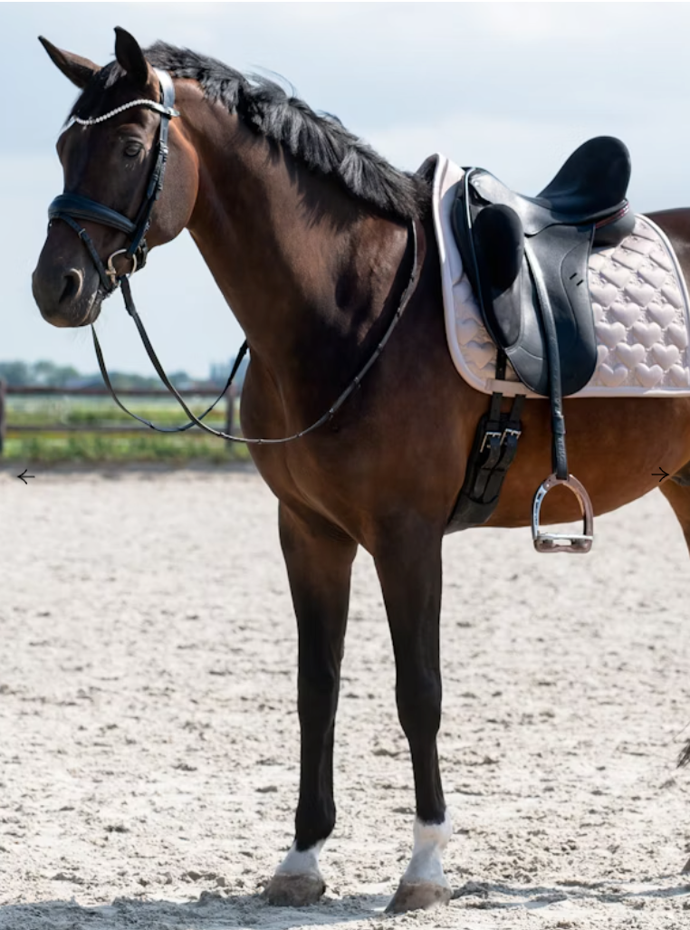 Heart Satin Saddle Pad - Silk Taupe Dressage