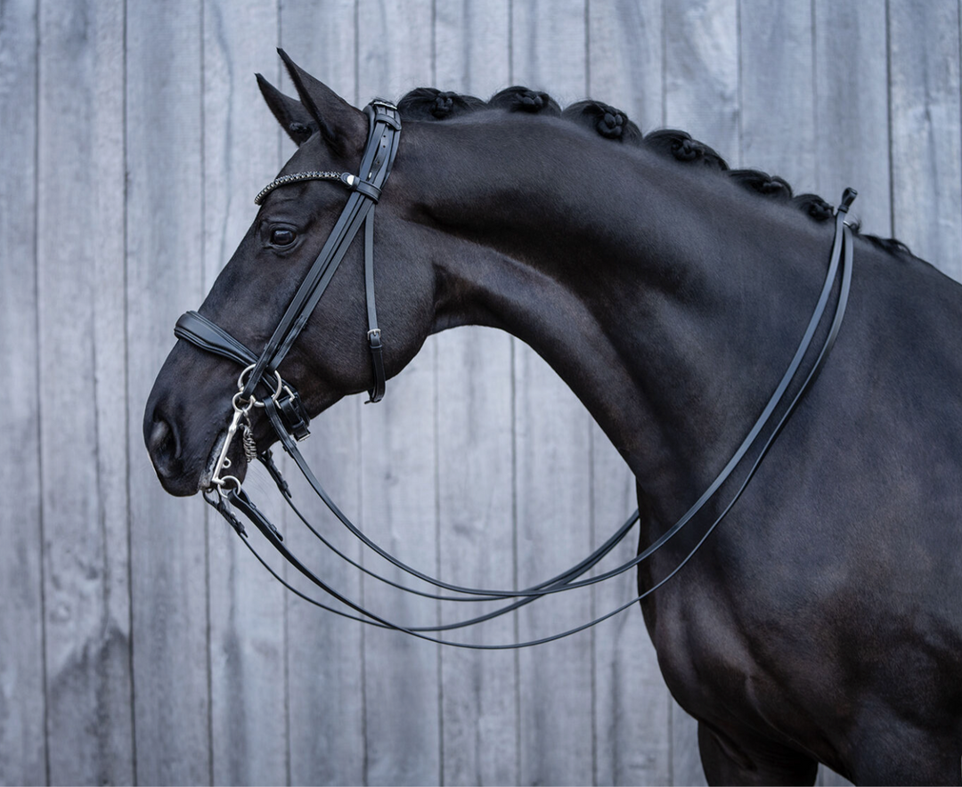 HKM Grace Double Bridle - Smooth Line