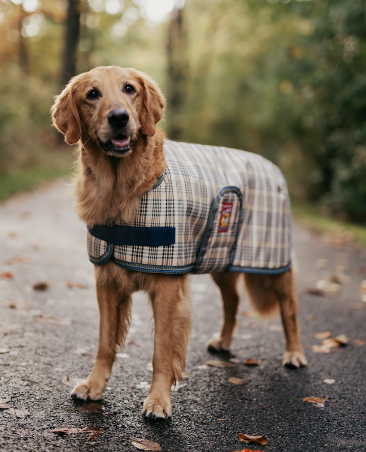 5/A® Baker Dog Blanket Coat
