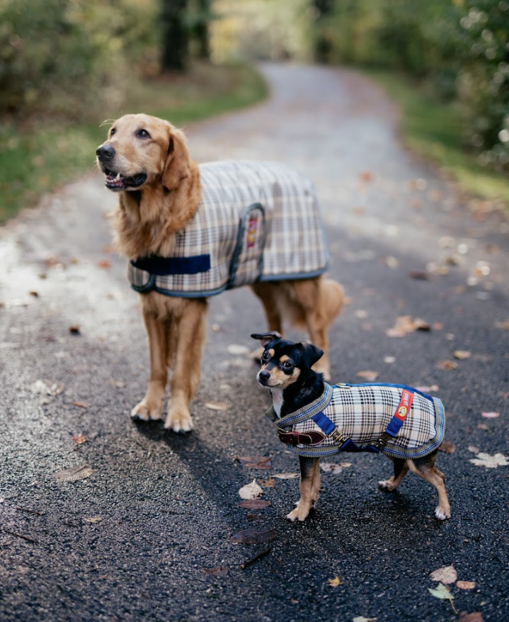 5/A® Baker Dog Blanket Coat