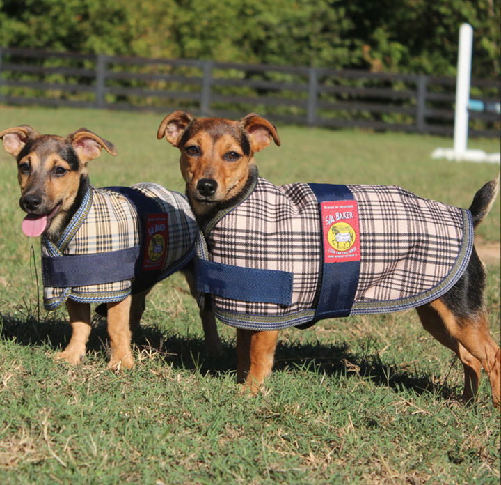 5/A® Baker Dog Blanket Coat