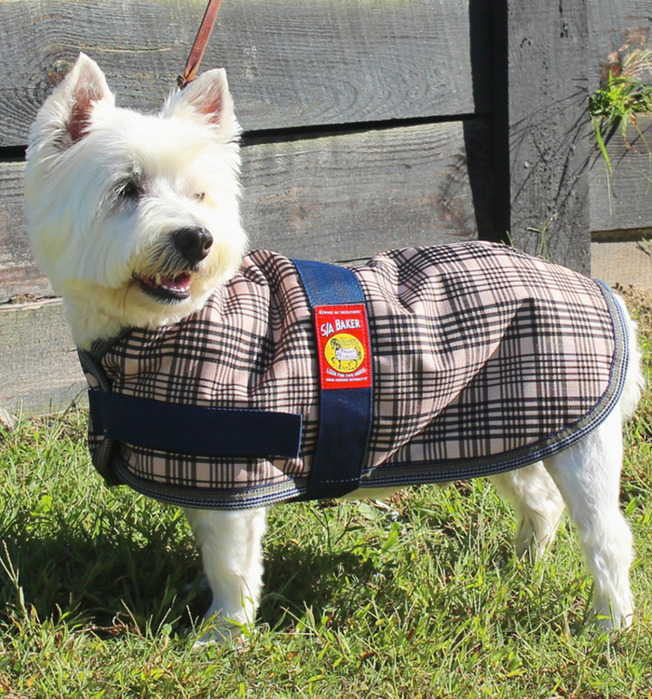 5/A® Baker Dog Blanket Coat