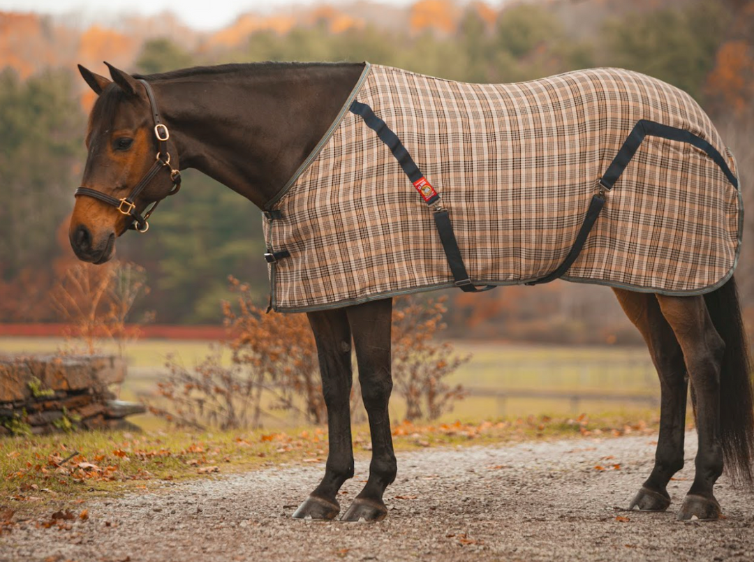 5/A® Baker Stable Sheet
