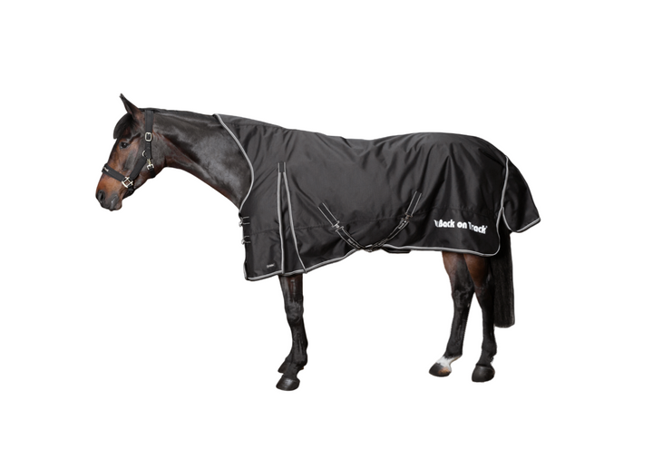 Back on Track Brianna Waterproof Turnout Sheet