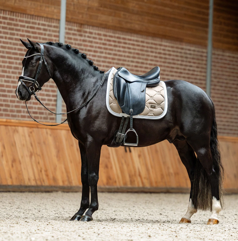 Equestrian Stockholm Classic Sand Saddle Pad - Dressage & Jump