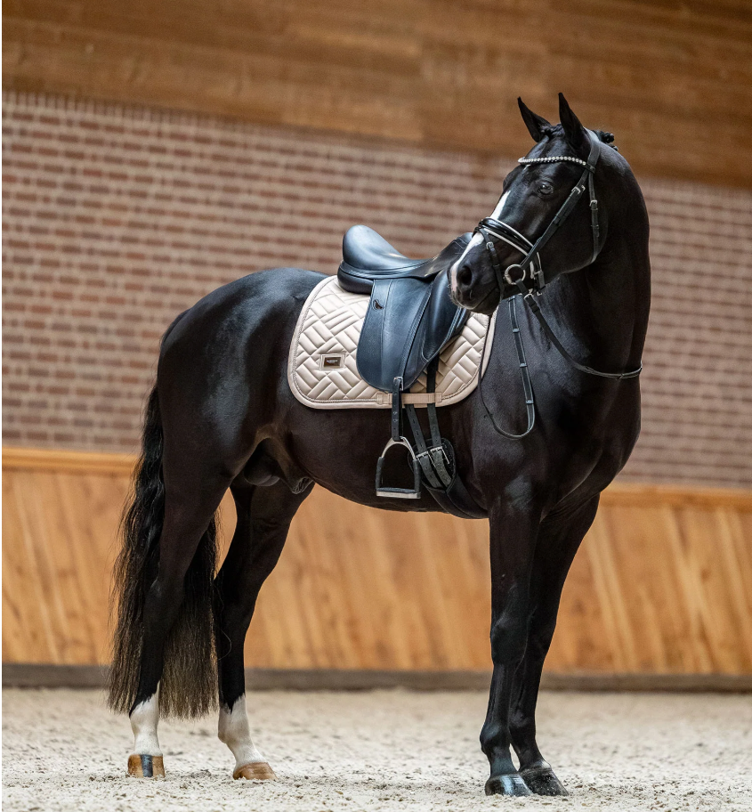 Equestrian Stockholm Modern Sand Saddle Pad - Dressage & Jump