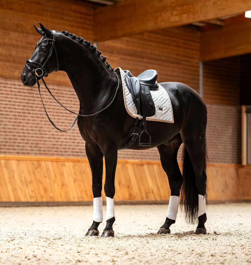 Equestrian Stockholm Modern White with Sand Saddle Pad - Dressage