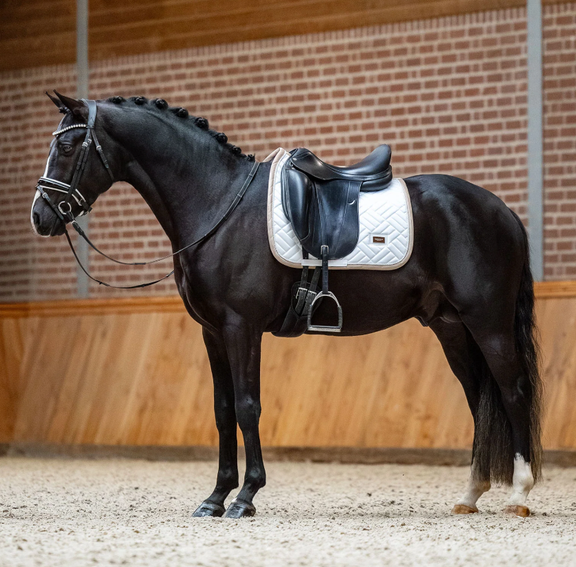 Equestrian Stockholm Modern White with Sand Saddle Pad - Dressage
