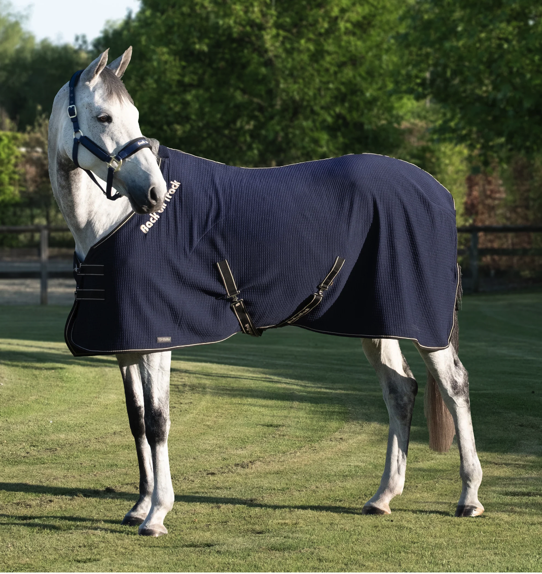 Back on Track Quick Cooler Sweat Blanket with Welltex