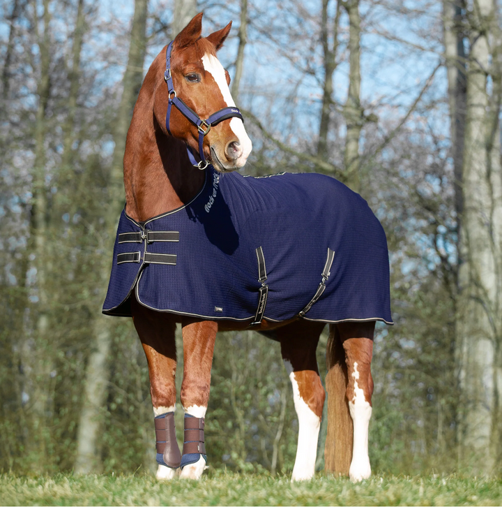 Back on Track Quick Cooler Sweat Blanket with Welltex