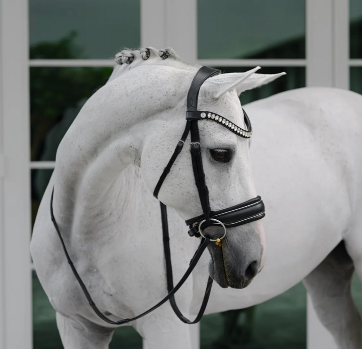Lumiere Diva Snaffle Dressage Bridle