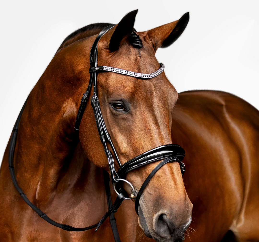 Lumiere Amie Flat Black Patent Leather Bridle