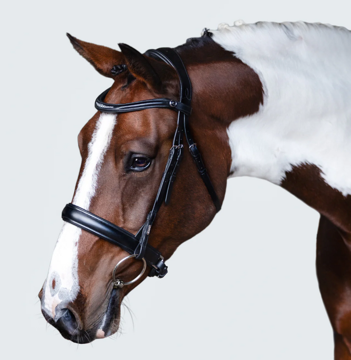 Lumiere Stella Snaffle Bridle