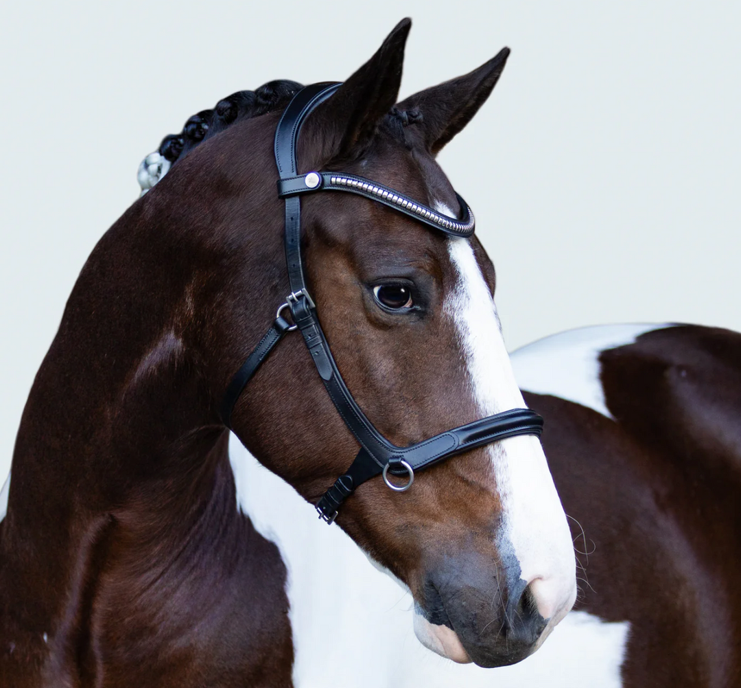 Lumiere Santiago Bitless Bridle