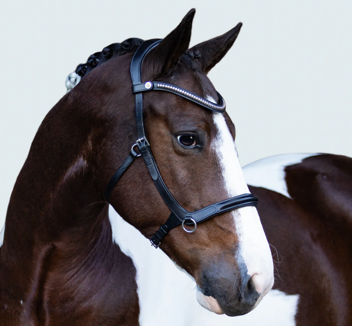 Lumiere Santiago Bitless Bridle
