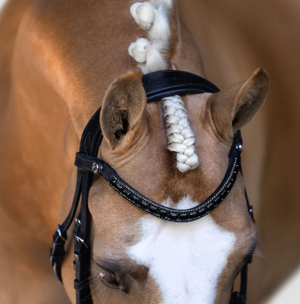 Lumiere Onyx Crystal Browband