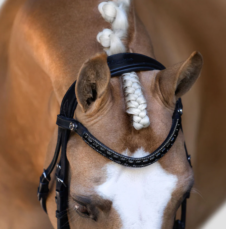 Lumiere Onyx Crystal Browband